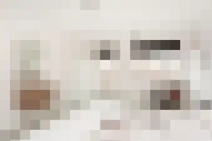 Tros 7 Oudewater thumbnail 41