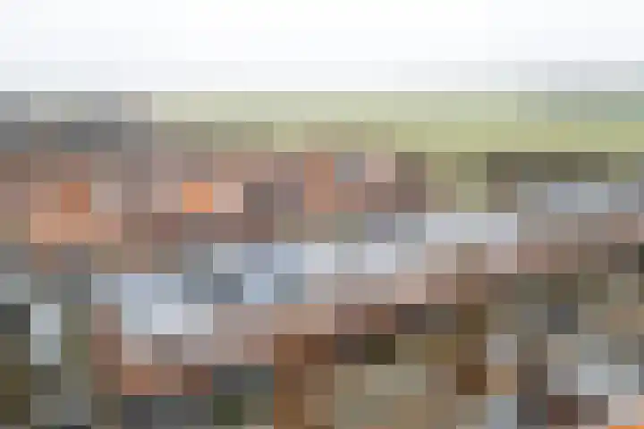 Tros 7 Oudewater thumbnail 49
