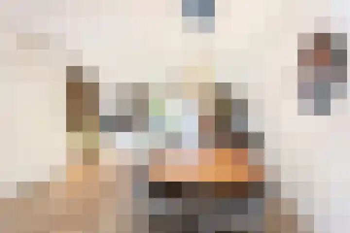 Tros 7 Oudewater thumbnail 7