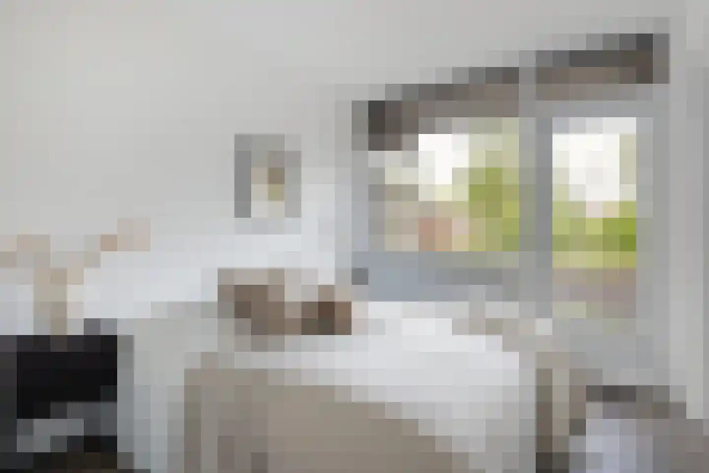 Trosdravik 208 Leeuwarden thumbnail 13