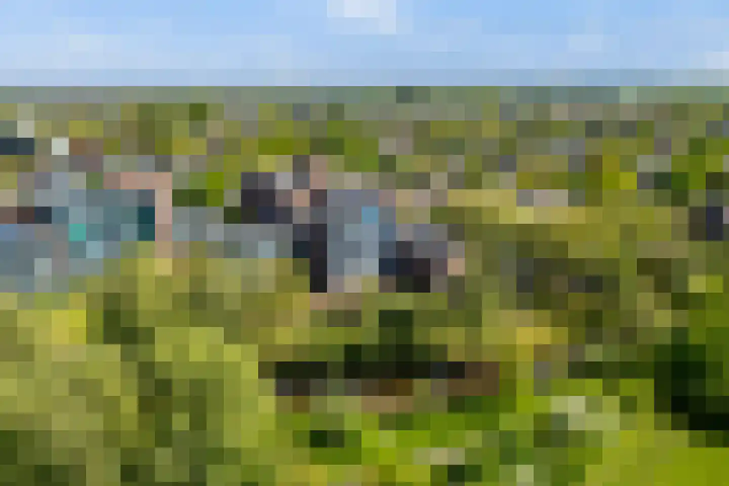 Trosdravik 208 Leeuwarden thumbnail 21