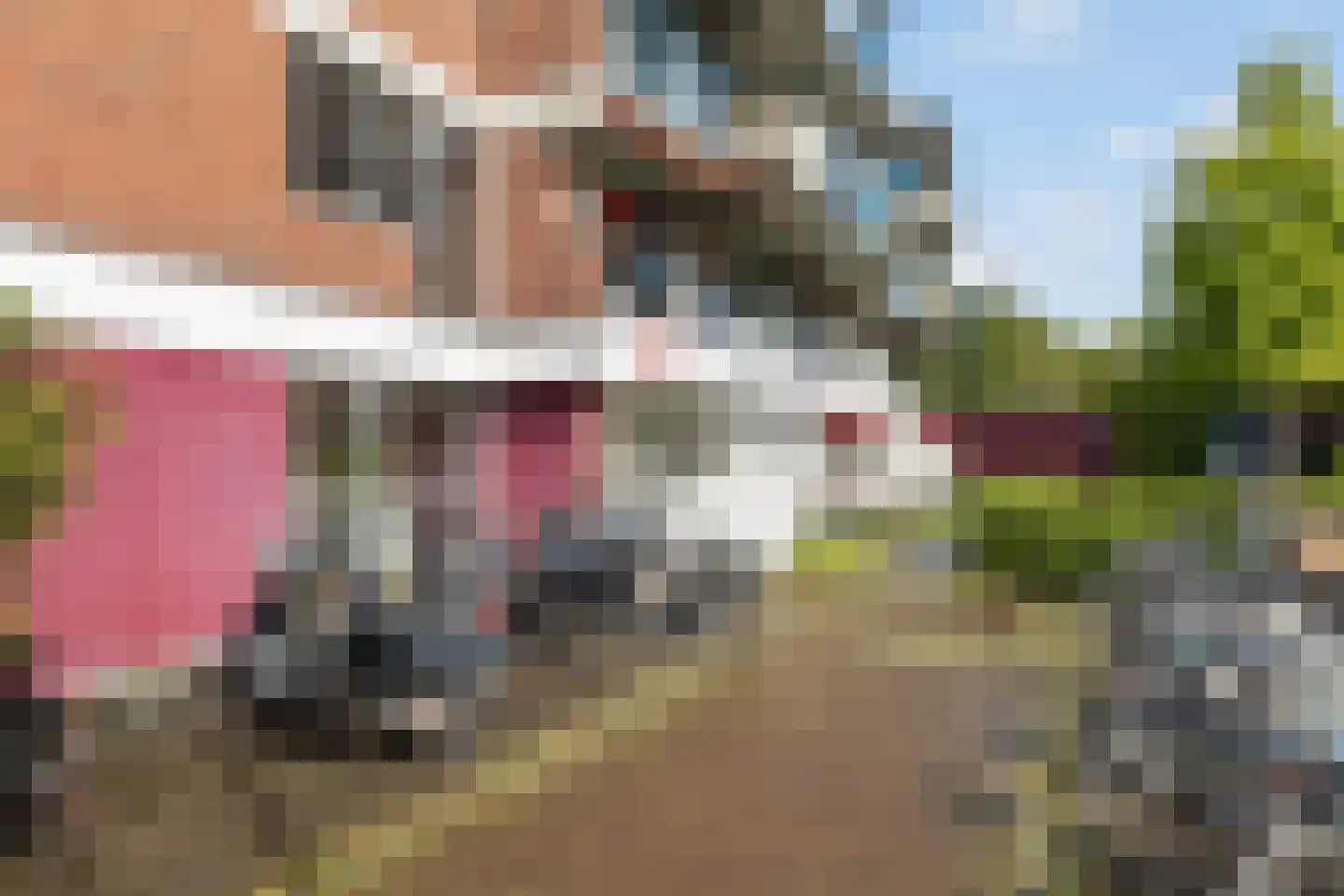 Trosdravik 208 Leeuwarden thumbnail 9