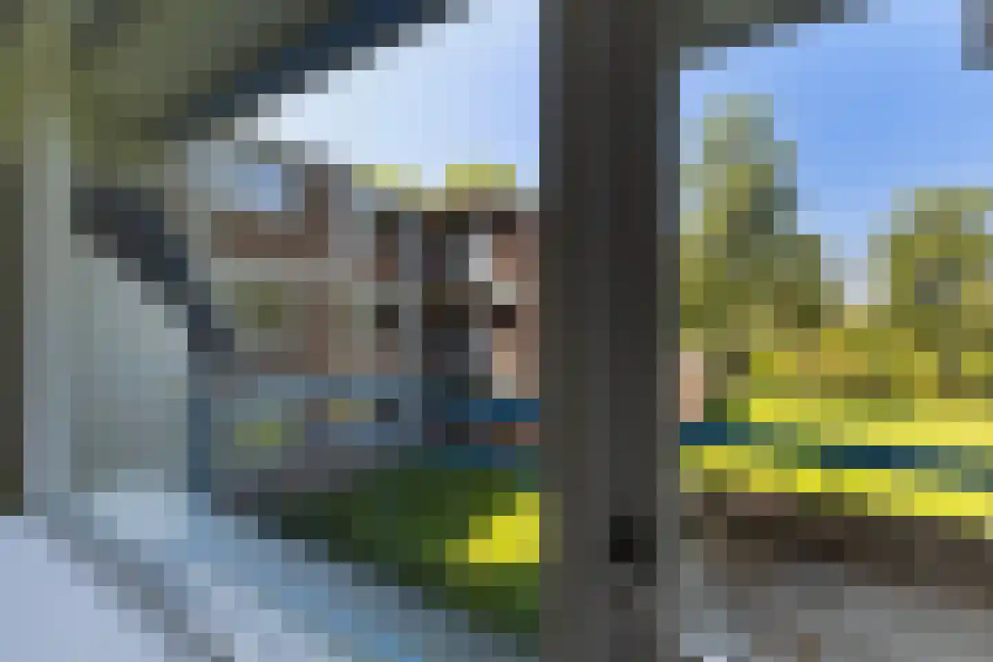 Trosdravik 240 Leeuwarden thumbnail 23