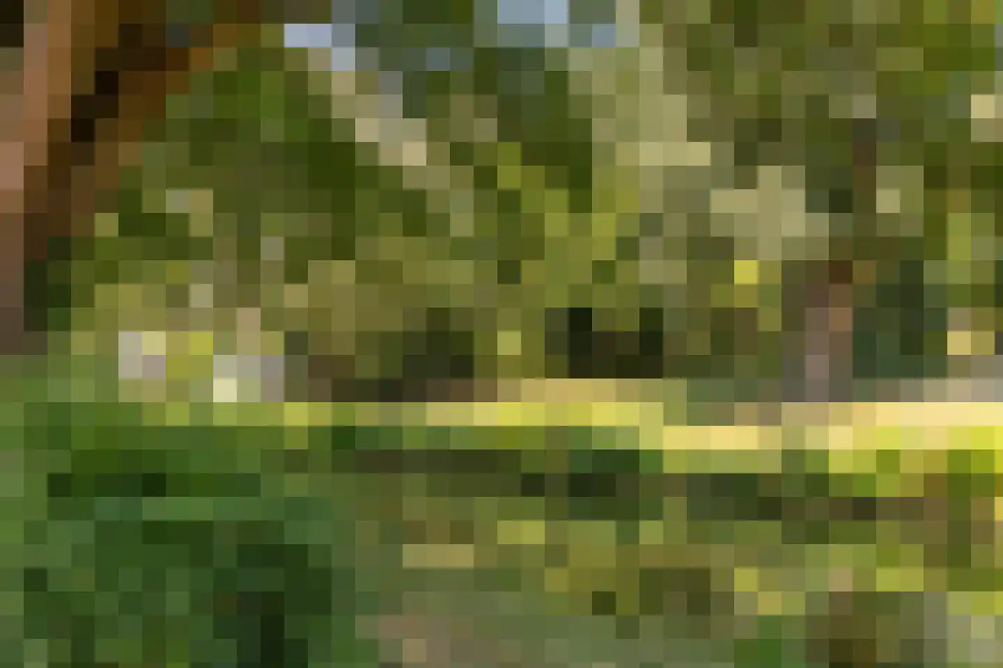 Troskerslaan 14 Amstelveen thumbnail 53