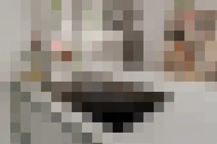 Troskerslaan 15 Amstelveen thumbnail 10