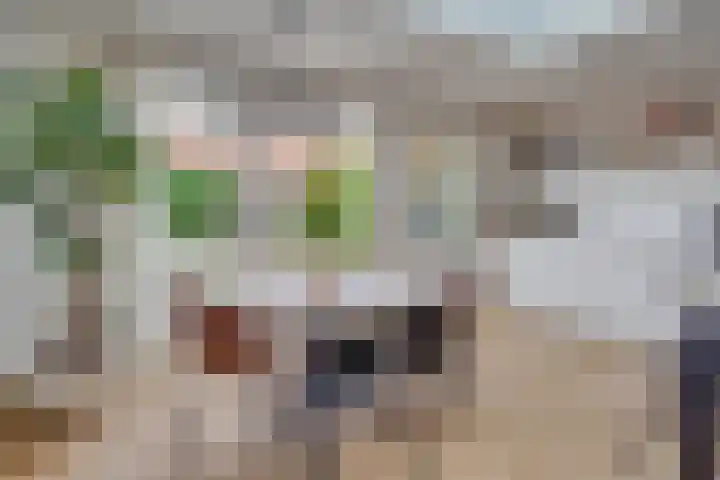 Troskerslaan 15 Amstelveen thumbnail 14