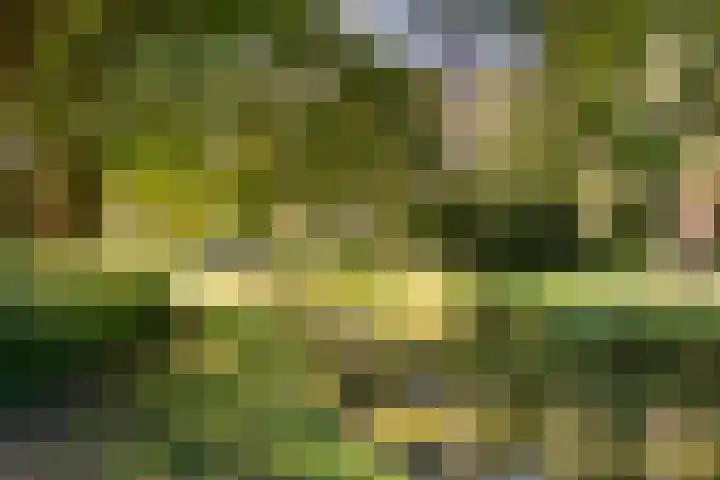 Troskerslaan 15 Amstelveen thumbnail 39