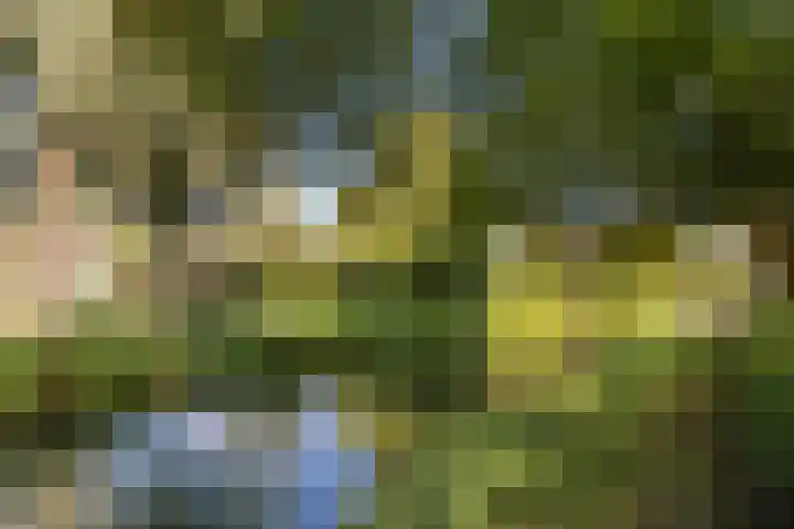 Troskerslaan 15 Amstelveen thumbnail 40