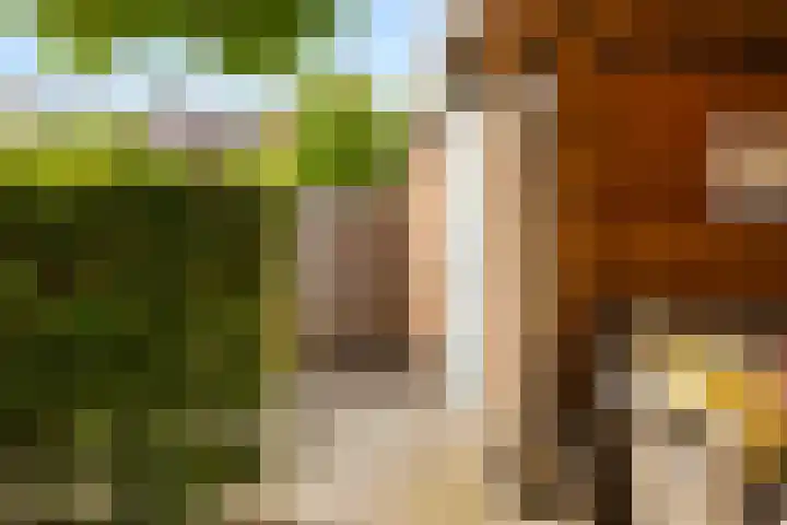 Troskerslaan 19 Amstelveen thumbnail 33