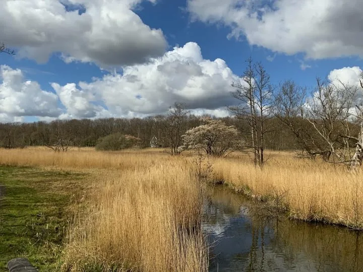 Troskerslaan 19 Amstelveen thumbnail 73