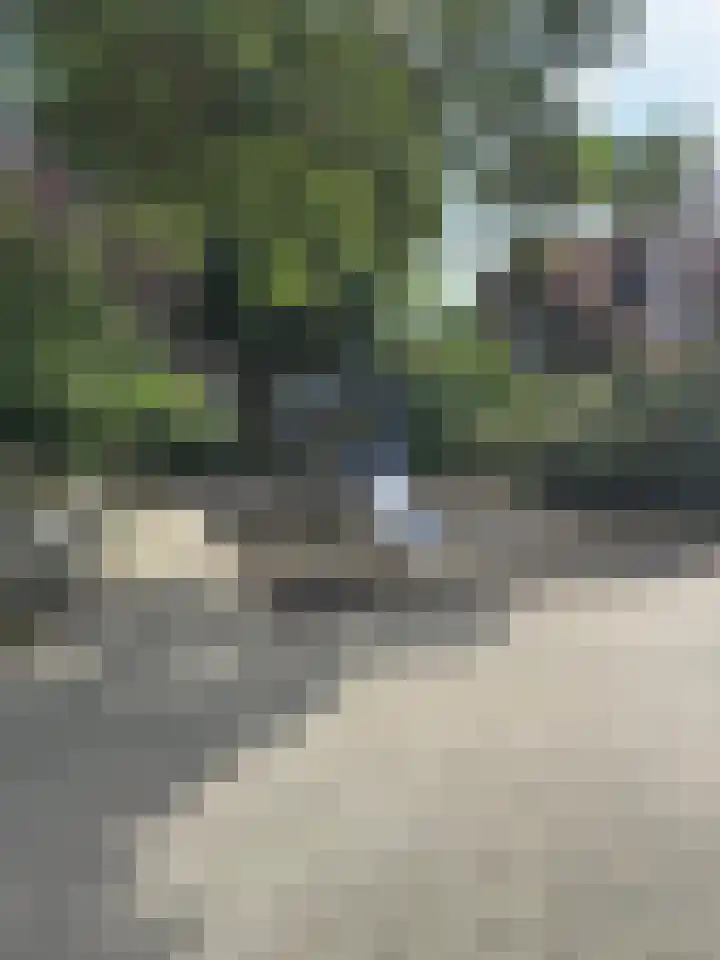Troskerslaan 19 Amstelveen thumbnail 74
