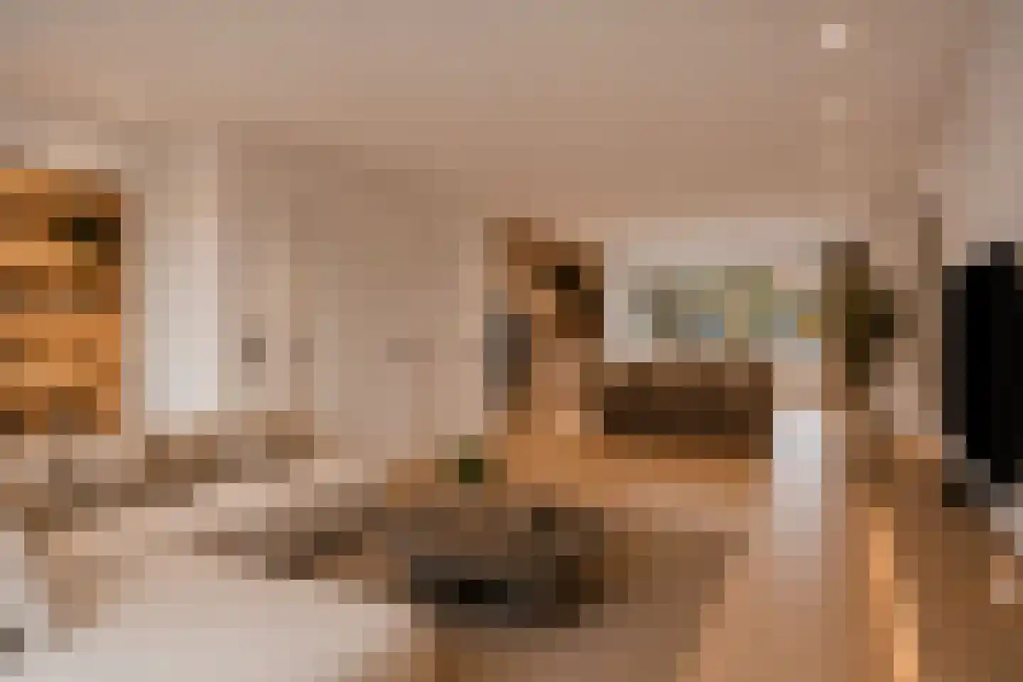 Trosroos 7 Zevenhuizen thumbnail 10