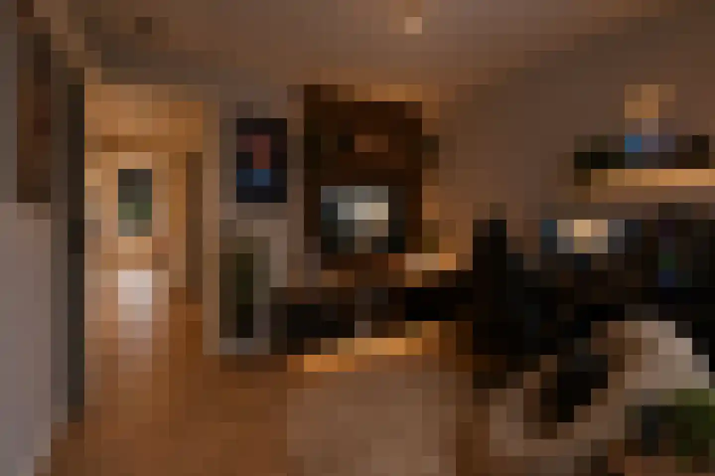 Trosroos 7 Zevenhuizen thumbnail 11