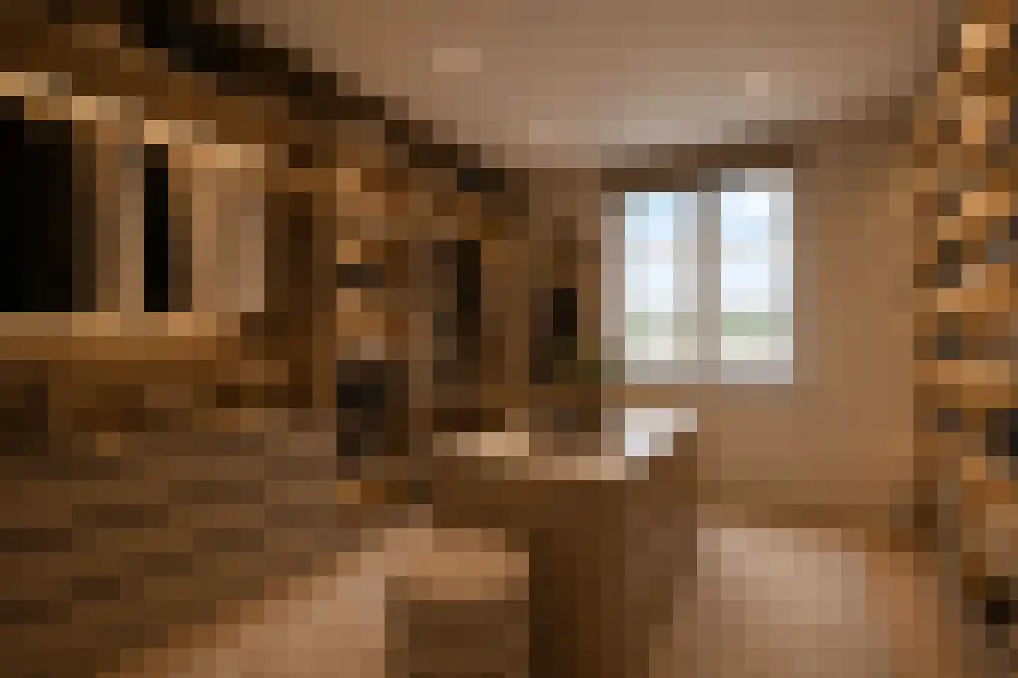 Trosroos 7 Zevenhuizen thumbnail 12