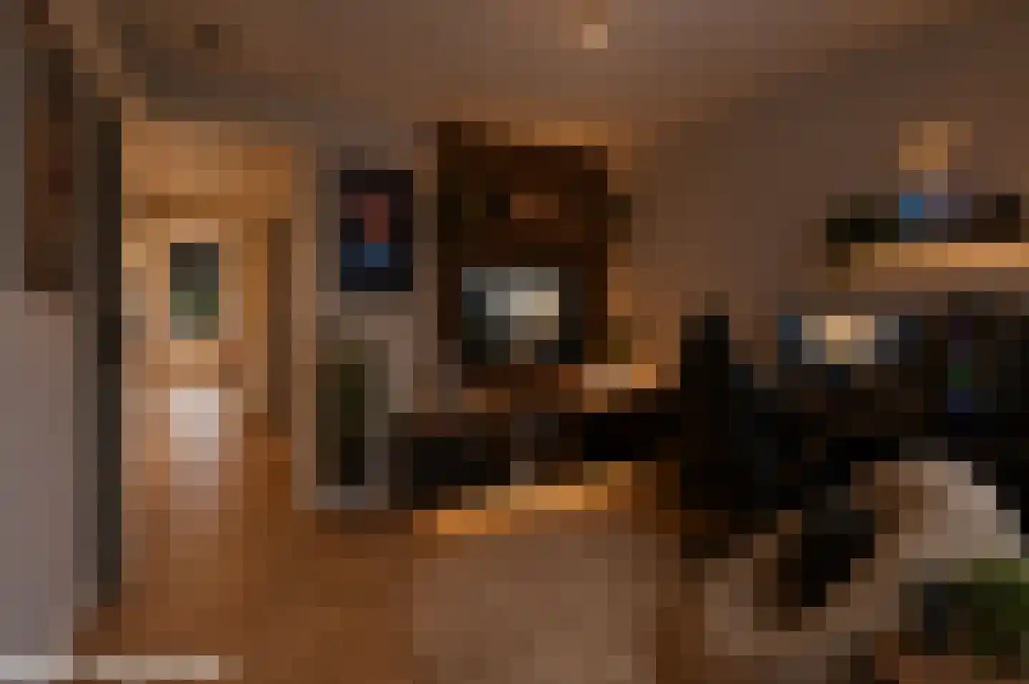 Trosroos 7 Zevenhuizen thumbnail 12