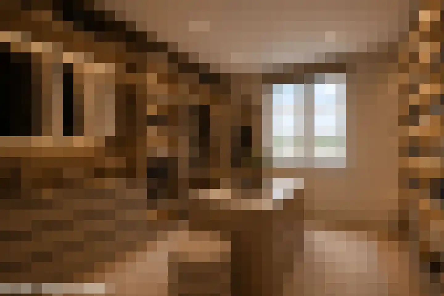 Trosroos 7 Zevenhuizen thumbnail 13