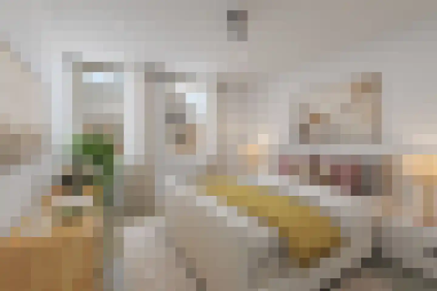 Trosroos 7 Zevenhuizen thumbnail 15