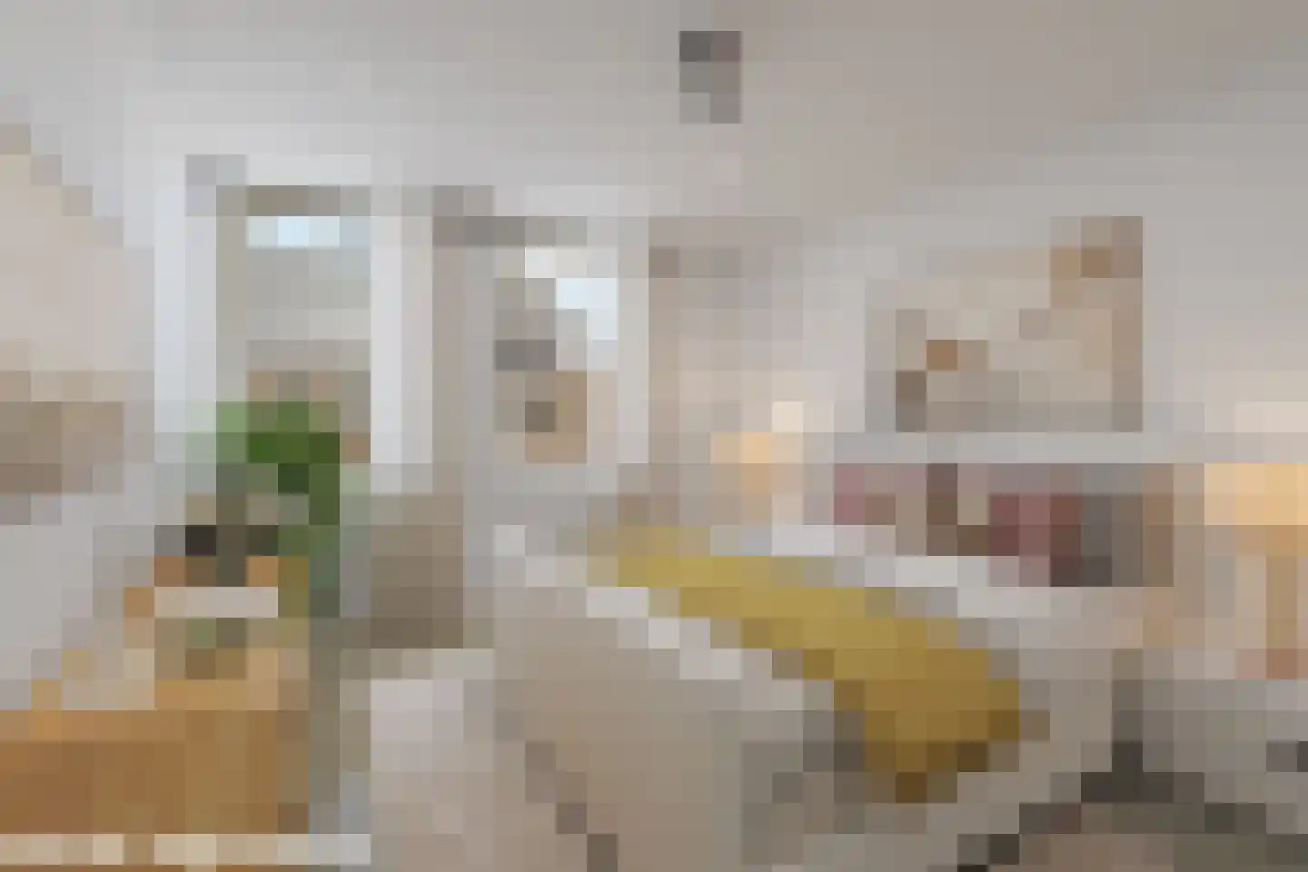 Trosroos 7 Zevenhuizen thumbnail 16
