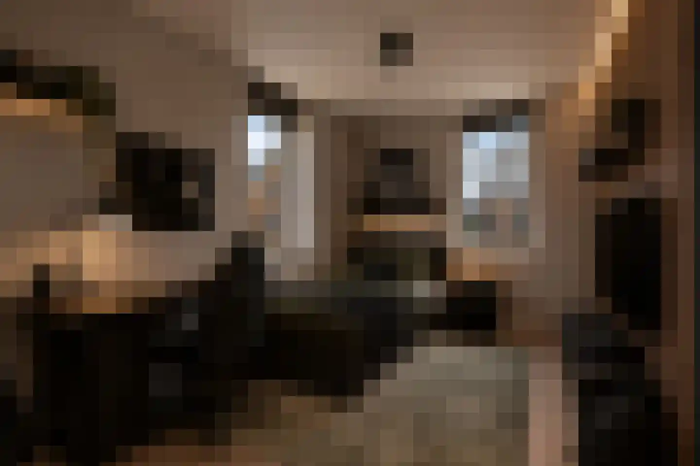 Trosroos 7 Zevenhuizen thumbnail 17