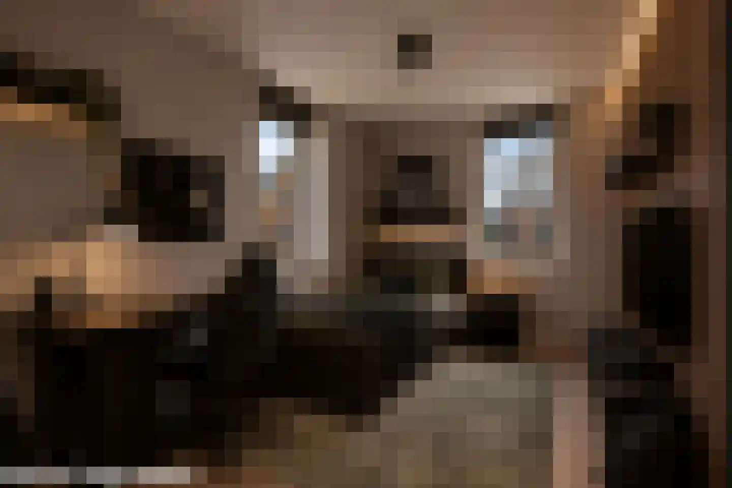 Trosroos 7 Zevenhuizen thumbnail 18