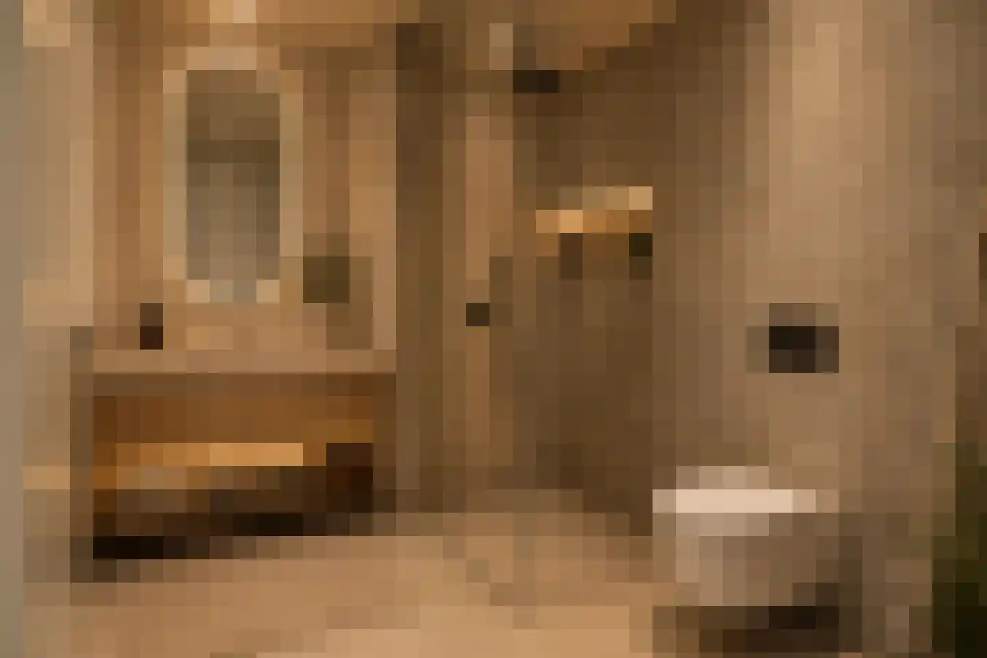 Trosroos 7 Zevenhuizen thumbnail 21