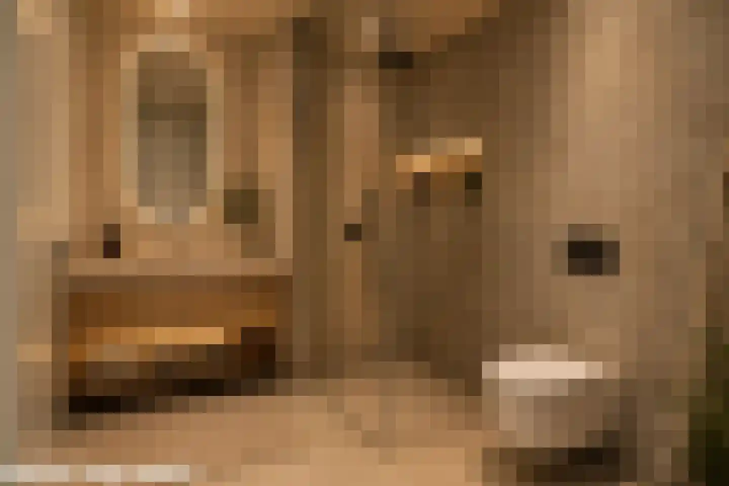 Trosroos 7 Zevenhuizen thumbnail 22