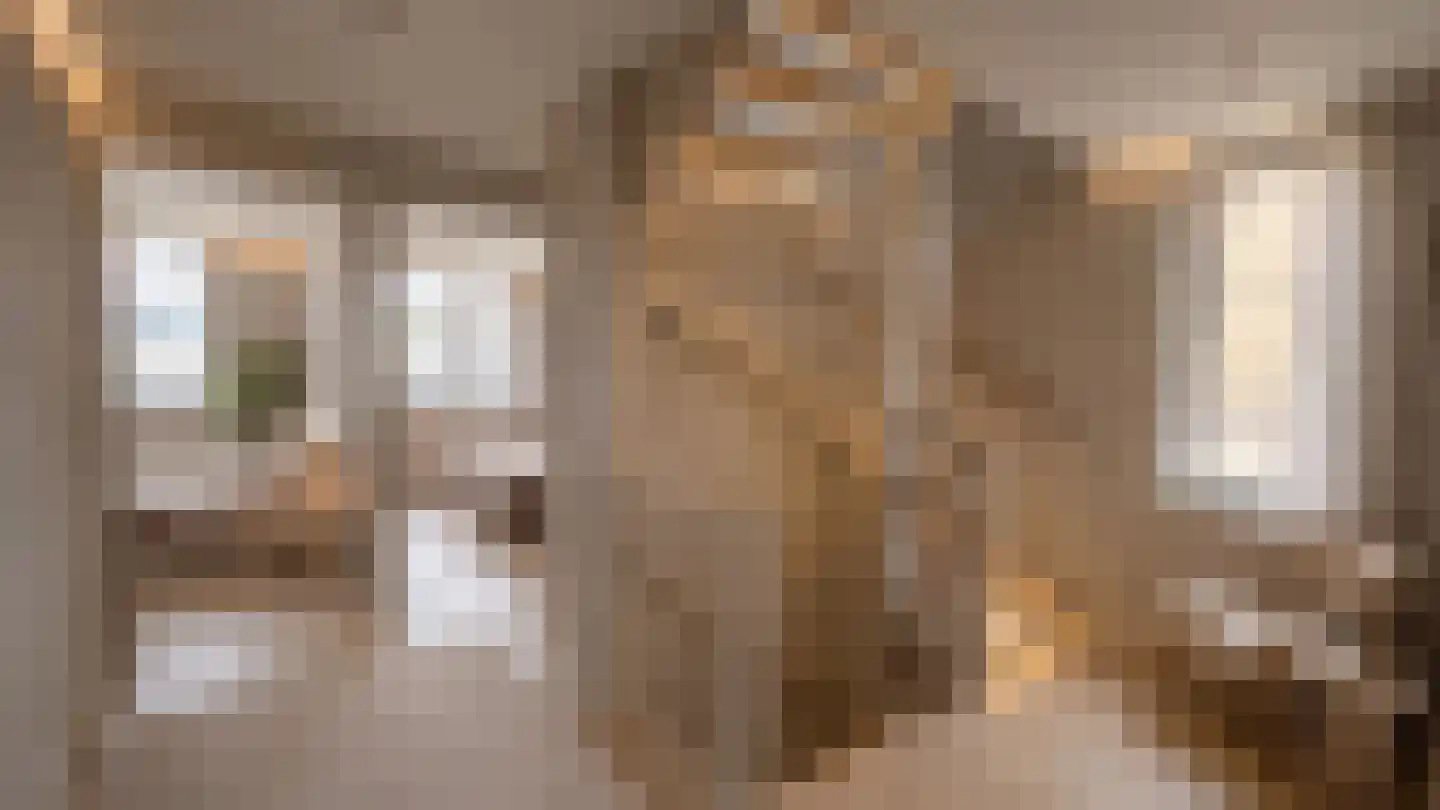 Trosroos 7 Zevenhuizen thumbnail 25