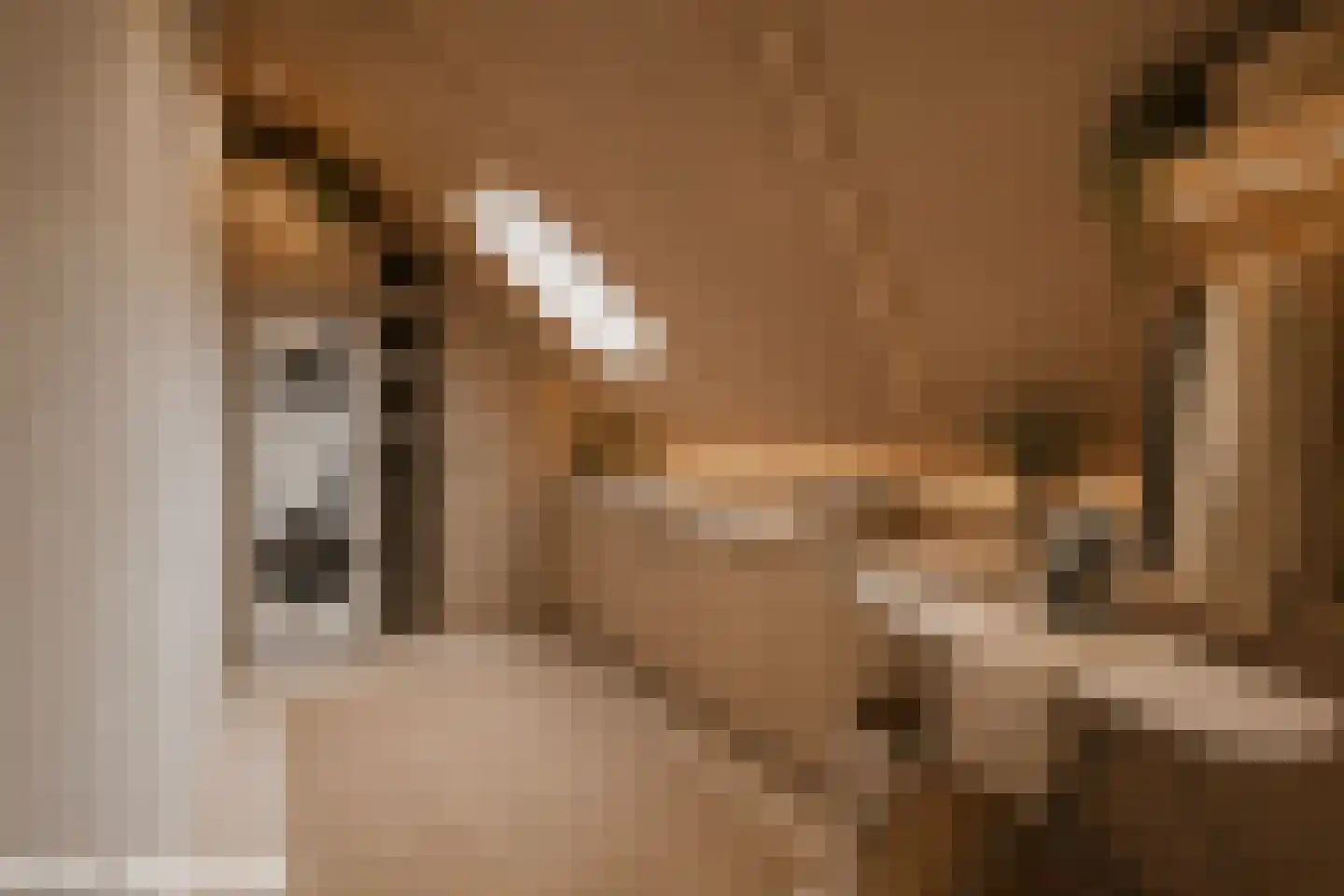 Trosroos 7 Zevenhuizen thumbnail 30
