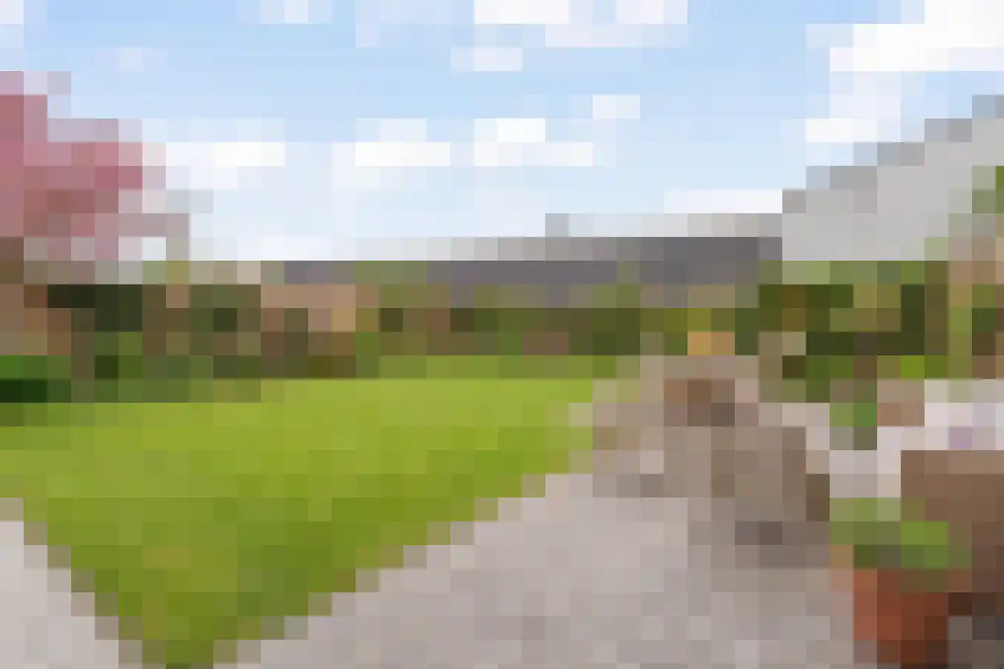 Trosroos 7 Zevenhuizen thumbnail 35