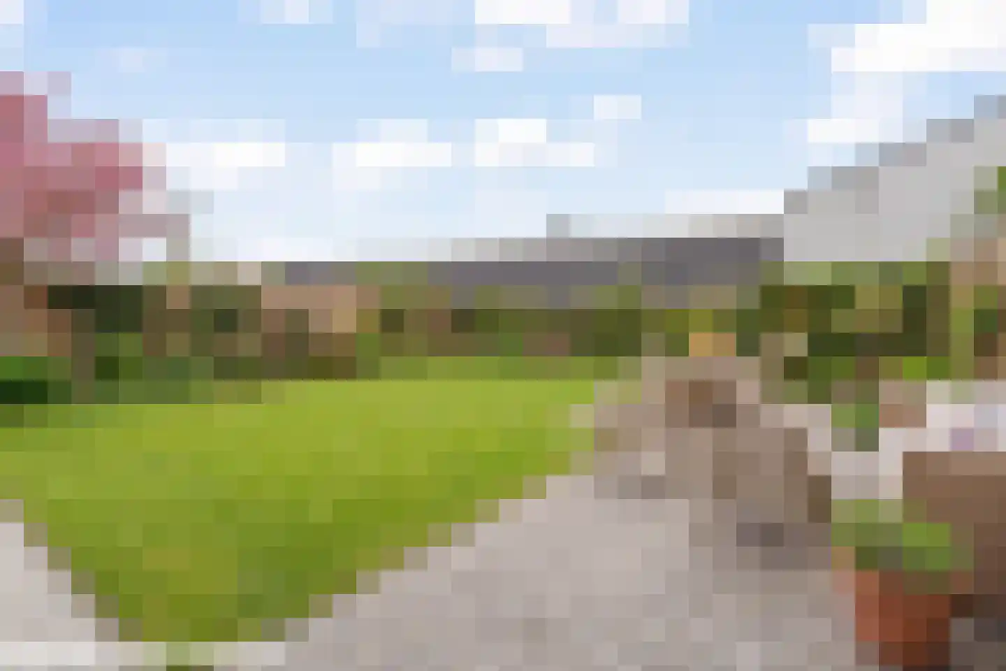 Trosroos 7 Zevenhuizen thumbnail 36