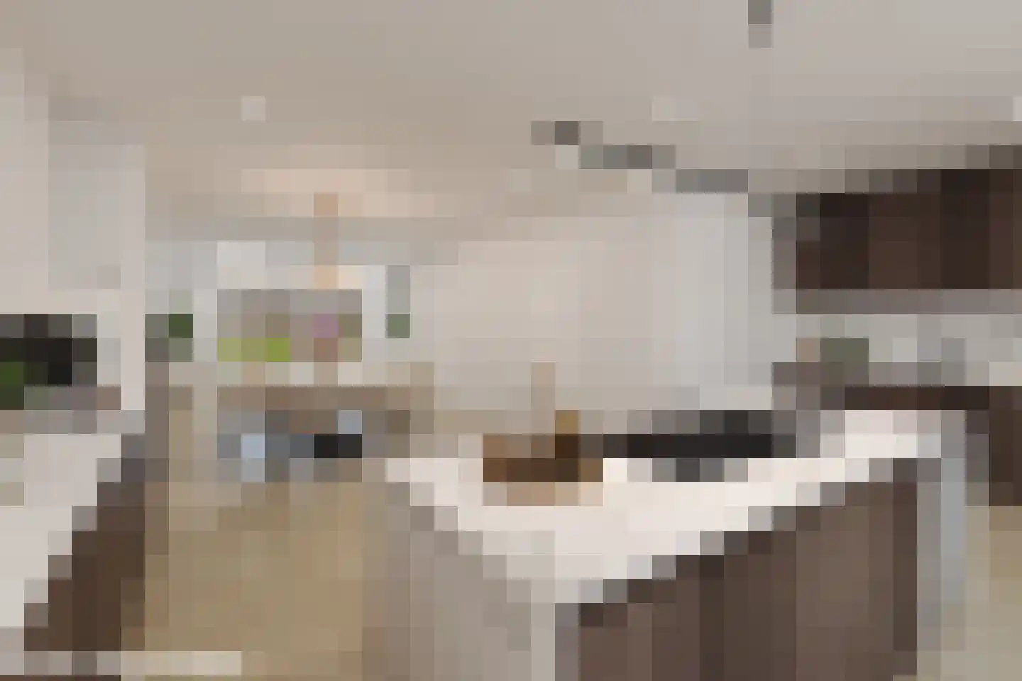 Trosroos 7 Zevenhuizen thumbnail 4