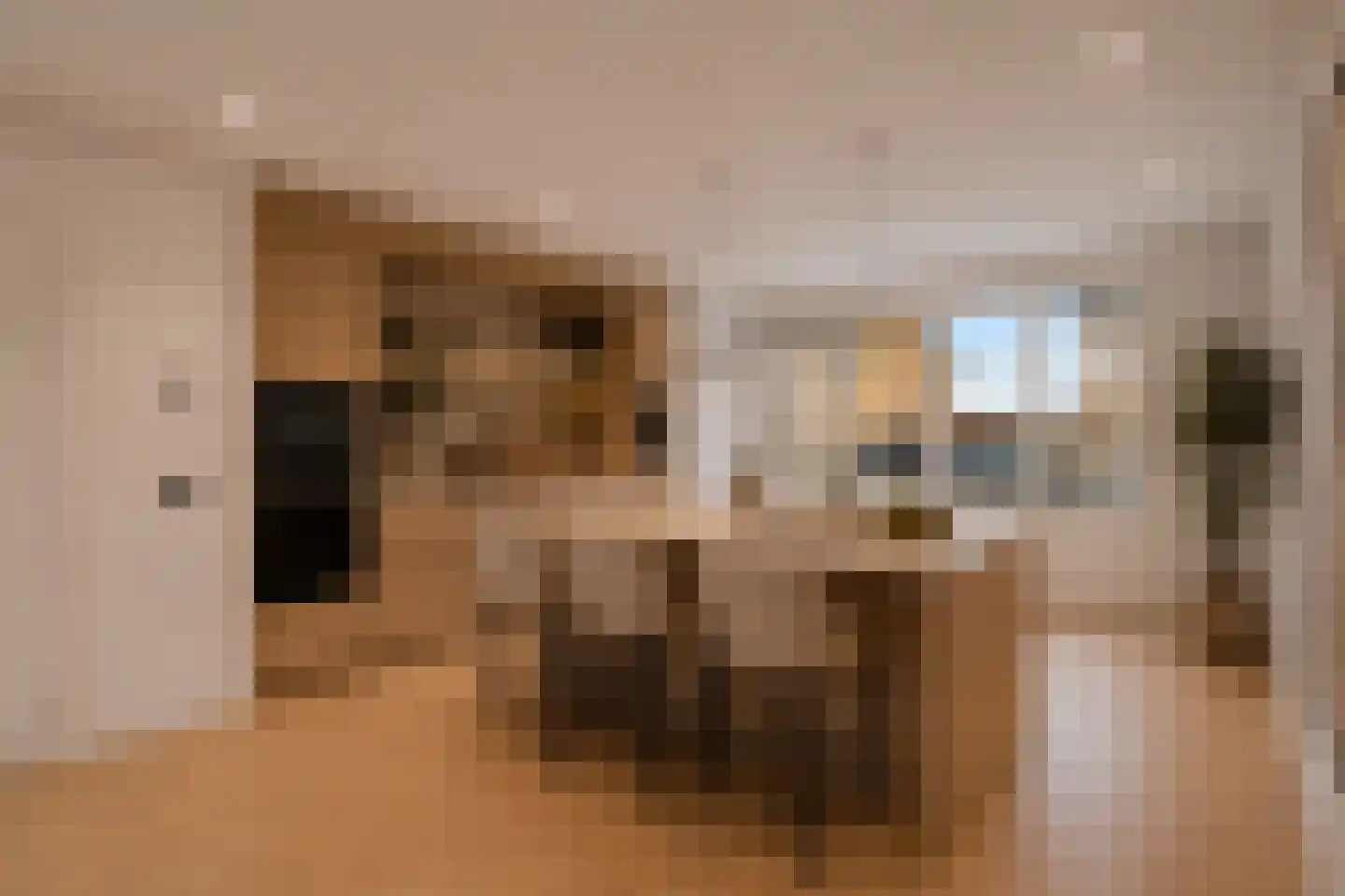 Trosroos 7 Zevenhuizen thumbnail 5