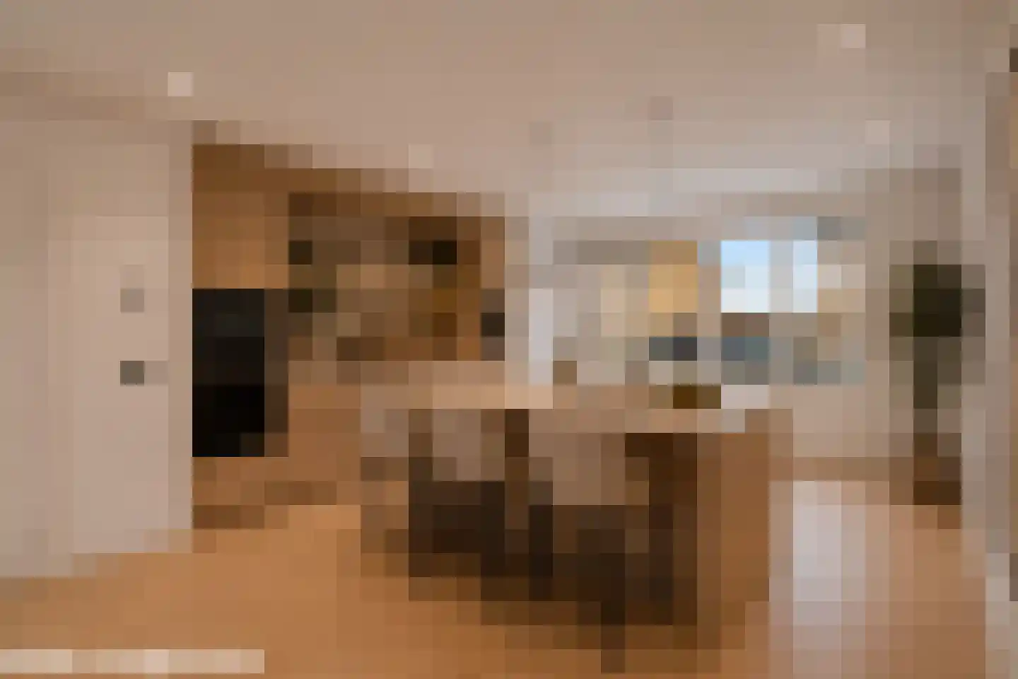 Trosroos 7 Zevenhuizen thumbnail 6