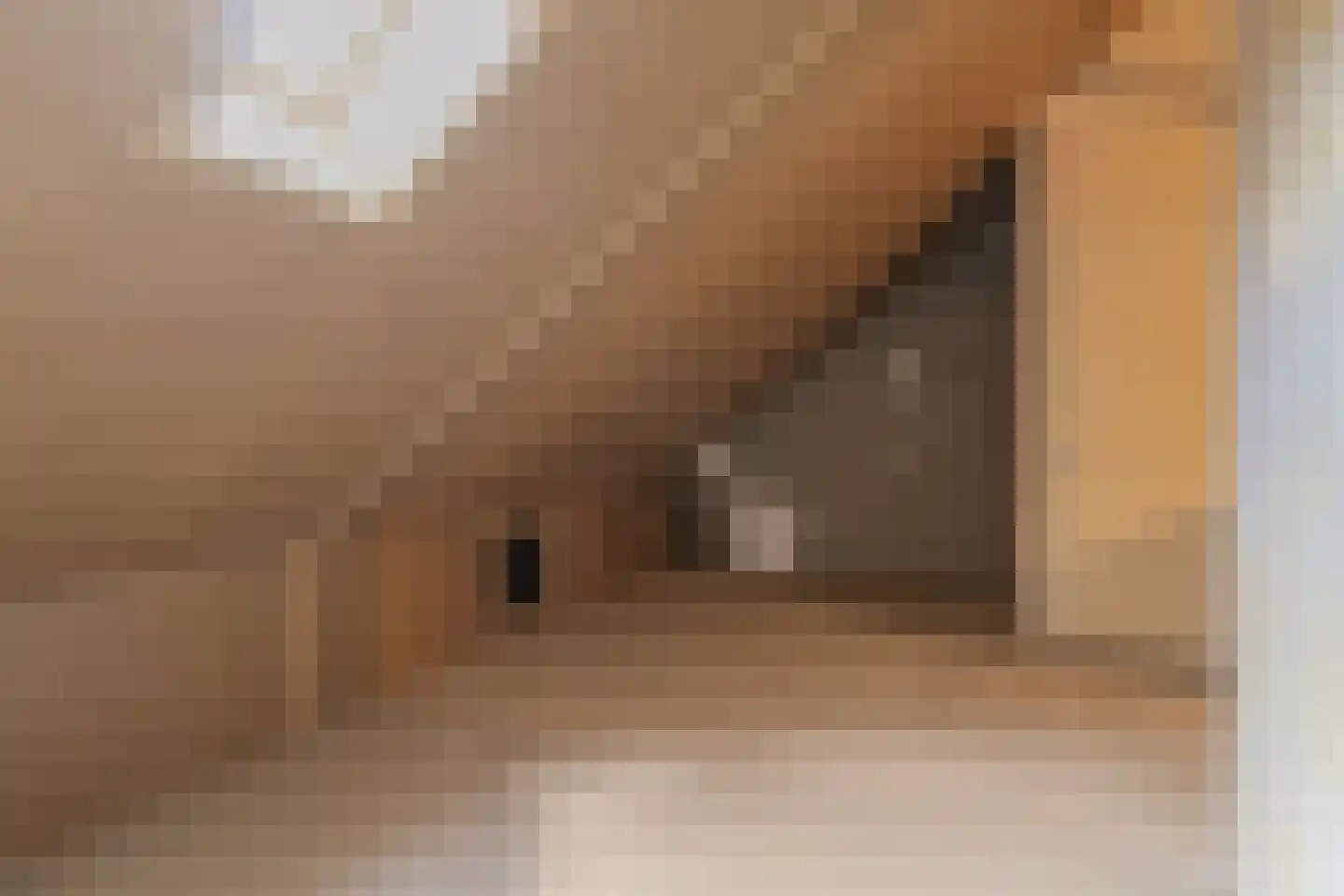 Trosroos 7 Zevenhuizen thumbnail 65