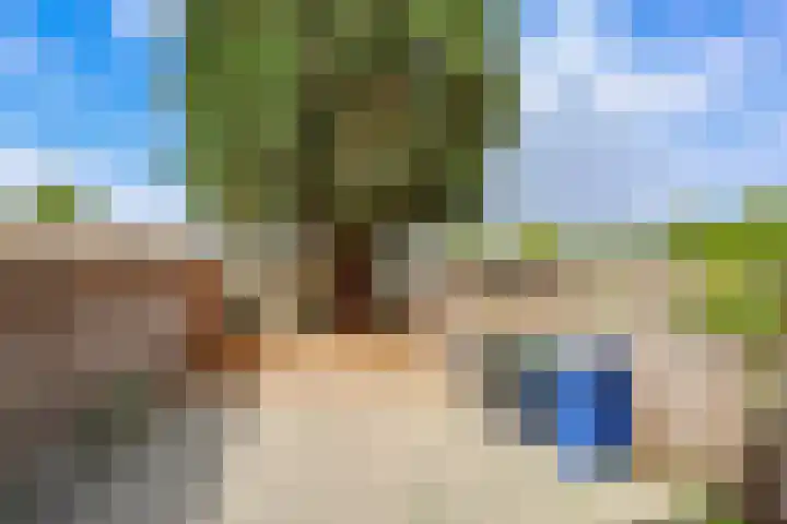 Trosroospad 7 Almere thumbnail 27