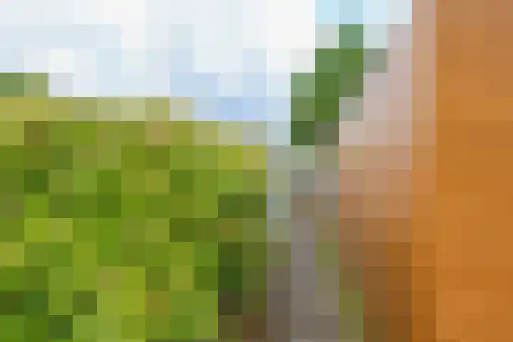 Trosroospad 7 Almere thumbnail 31
