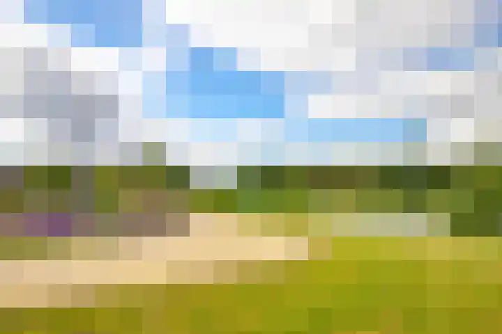 Trota van Salernostraat 21 Almere thumbnail 33