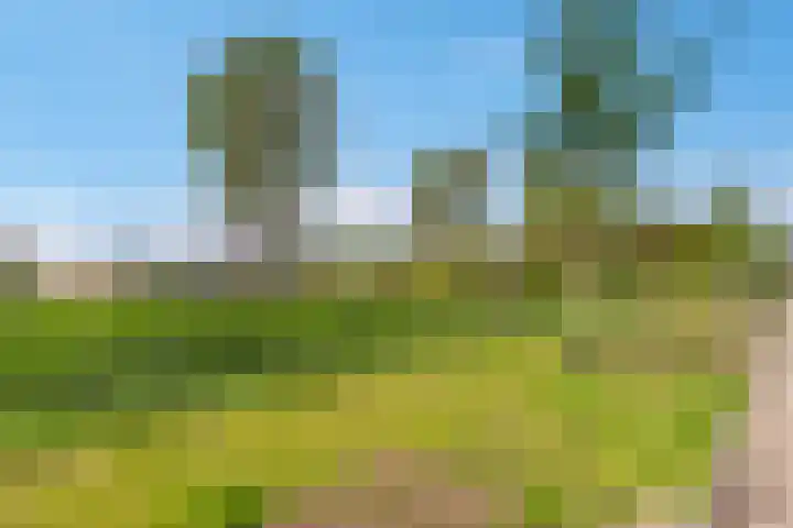 Trota van Salernostraat 21 Almere thumbnail 35