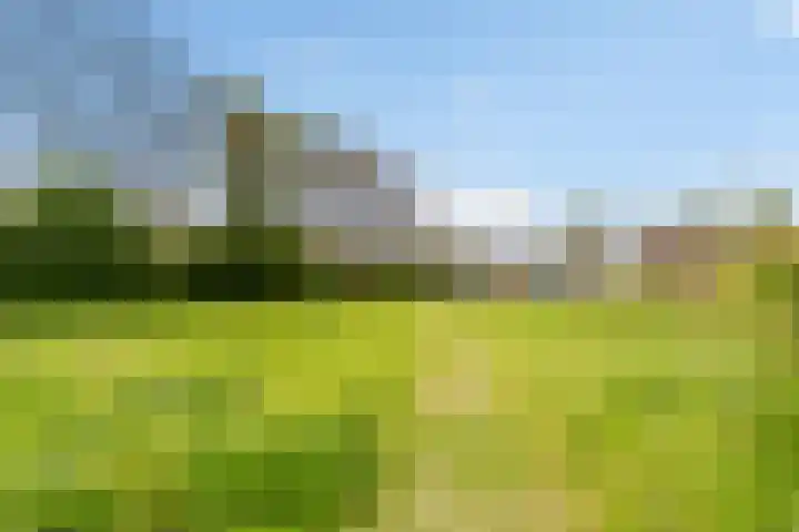 Trota van Salernostraat 21 Almere thumbnail 36