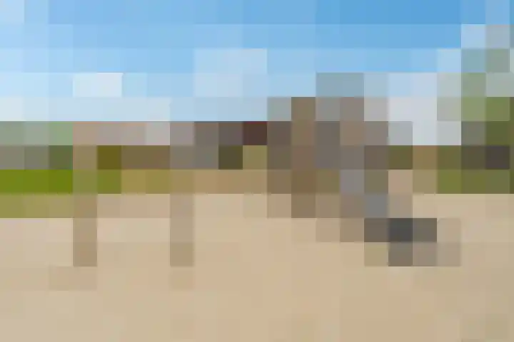 Trota van Salernostraat 21 Almere thumbnail 38