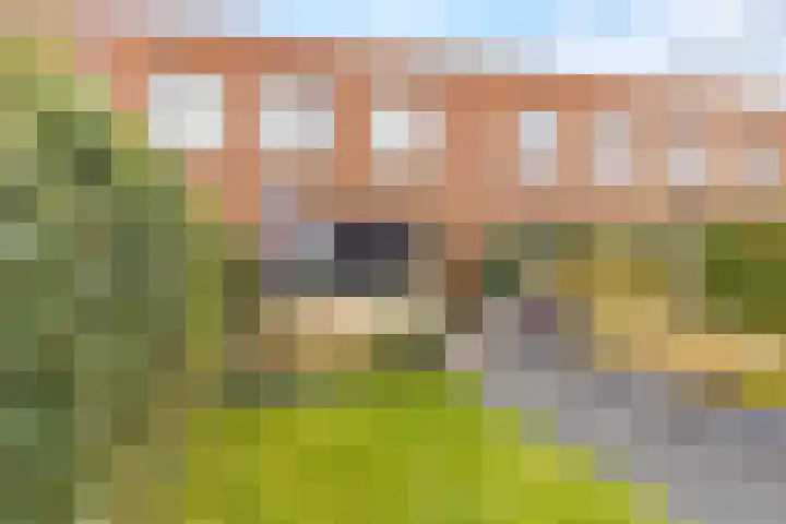 Trota van Salernostraat 29 Almere thumbnail 37