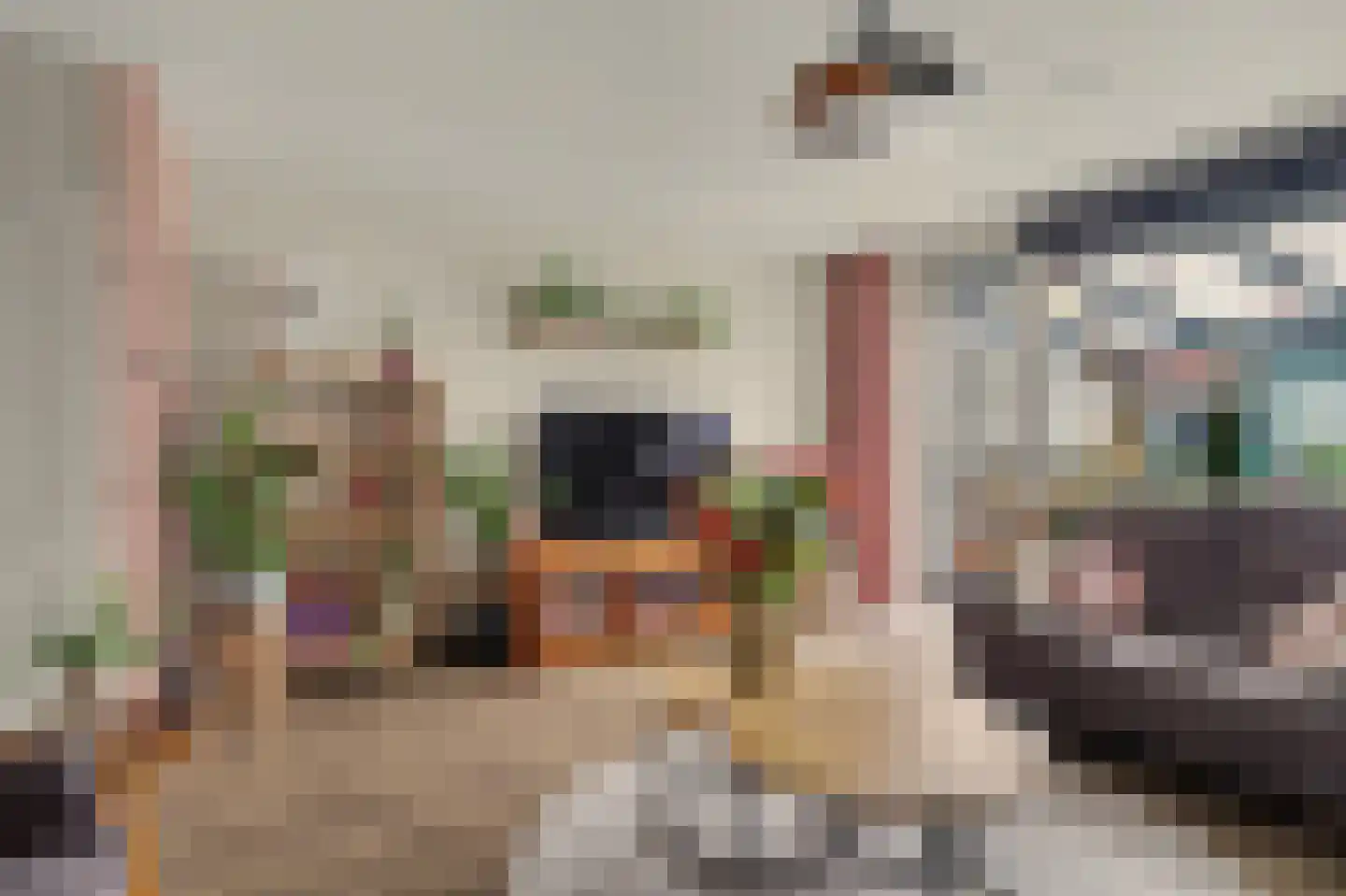 Troubadour 1 Rhoon thumbnail 13