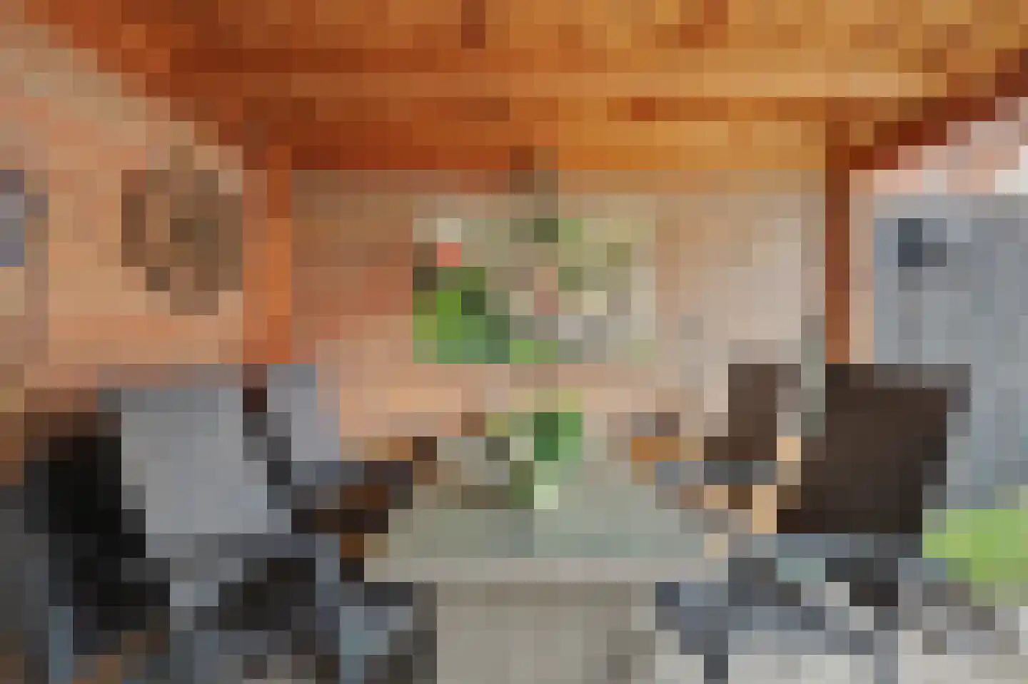 Troubadour 1 Rhoon thumbnail 39
