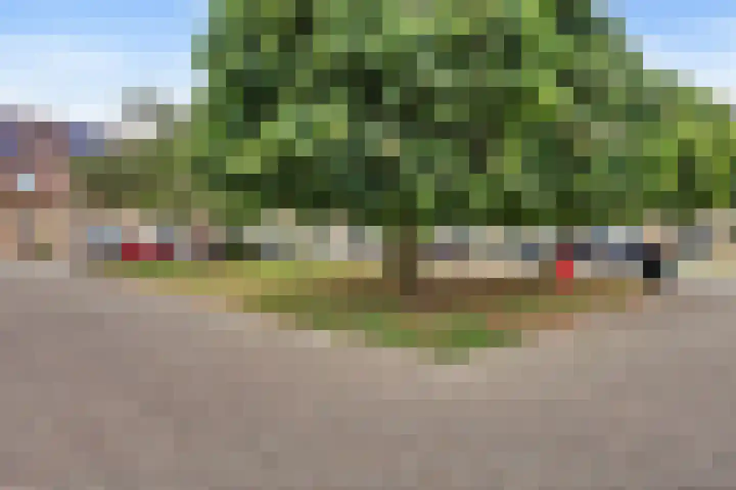 Troubadour 1 Rhoon thumbnail 4