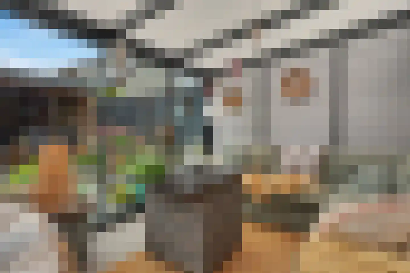 Troubadour 1 Rhoon thumbnail 43