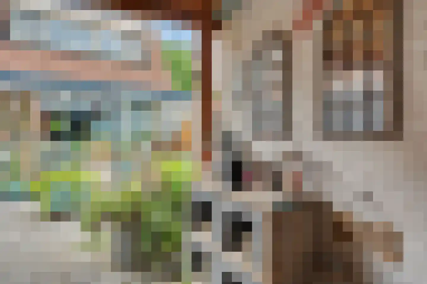 Troubadour 1 Rhoon thumbnail 46