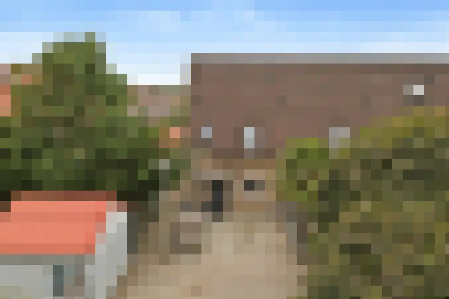 Troubadour 1 Rhoon thumbnail 49