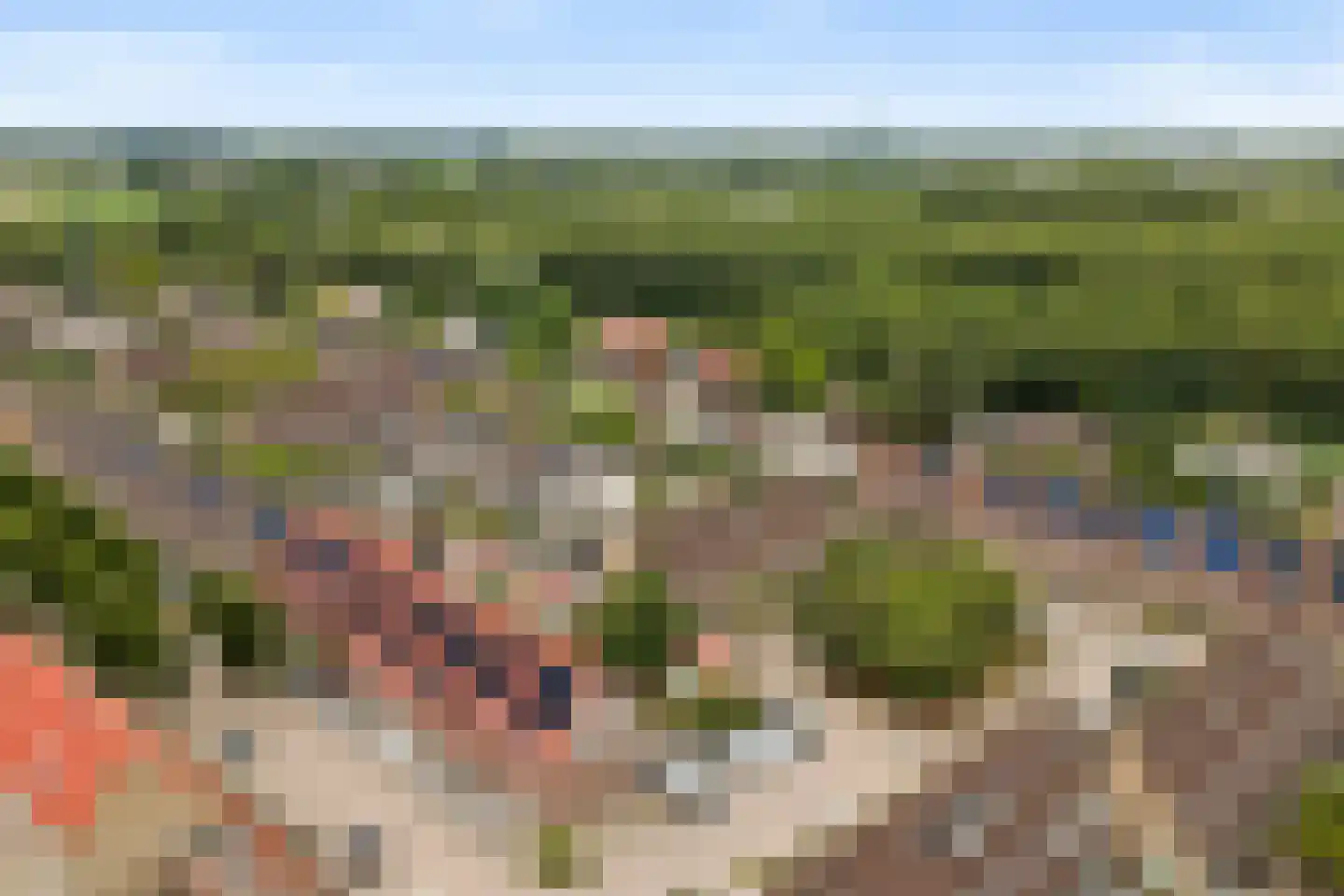 Troubadour 1 Rhoon thumbnail 5