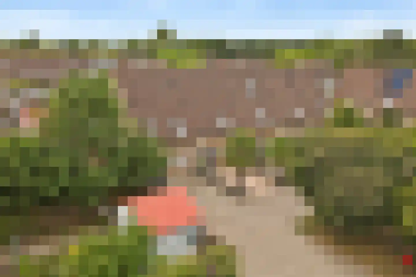 Troubadour 1 Rhoon thumbnail 50
