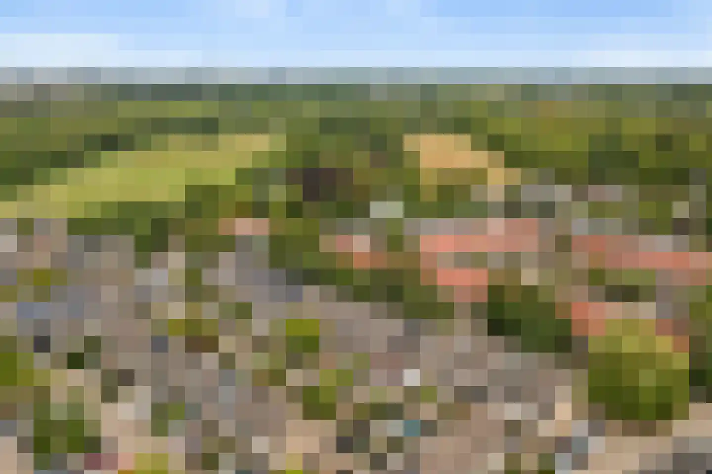 Troubadour 1 Rhoon thumbnail 51